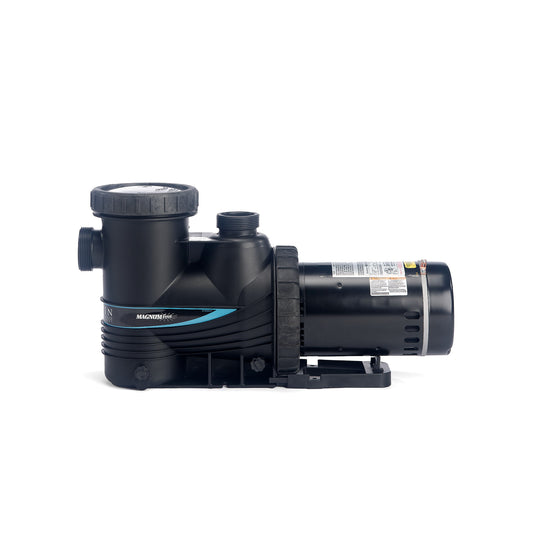 Pompe pour piscines creusées Carvin 2HP à deux vitesses